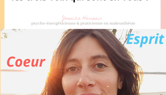 voix,interieure,monde,interieur,psychologie,être,contacter,moi,profond,maître,soi,source,moi,marie,lise,labonte,indiviudation,coeur,esprit,corps,introspection